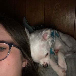 Meet your Posher, Nikki